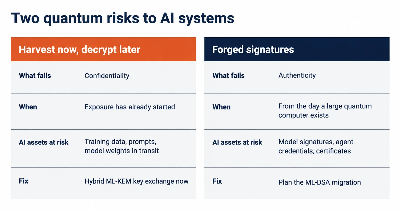 Two quantum risks to AI systems. Harvest now, decrypt later: confidentiality fails, exposure has already started, training data, prompts and model weights in transit are at risk, fix with hybrid ML-KEM key exchange now. Forged signatures: authenticity fails from the day a large quantum computer exists, model signatures, agent credentials and certificates are at risk, fix by planning the ML-DSA migration.