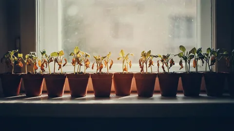 Why Most AI Projects Fail (And What to Do About It)