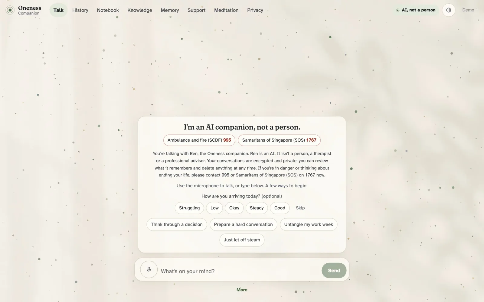 Conversation screen opening with the words I am an AI companion, not a person, the local emergency and helpline numbers, and a microphone button